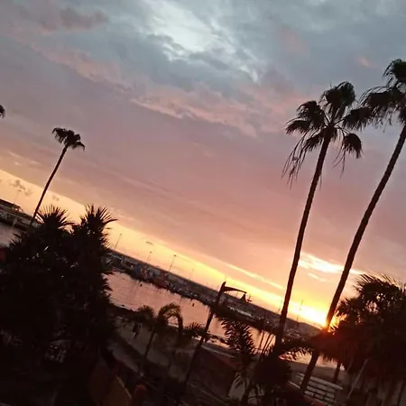 Total Relax Golfo Del Sur 公寓 圣米格尔德阿沃纳